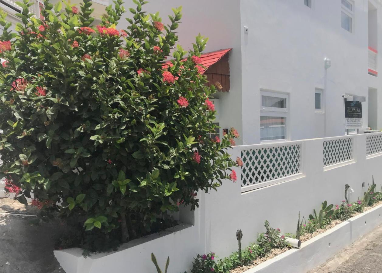 Cleopatra Villas - Sea View Rodney Bay Εξωτερικό φωτογραφία